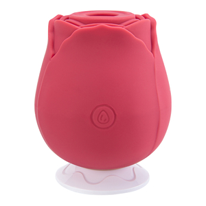 Giocattolo elettrico del sesso del vibratore dei giocattoli della rosa per le donne Ricaricabile 3 frequenze 10 velocit&agrave; per la stimolazione del punto G